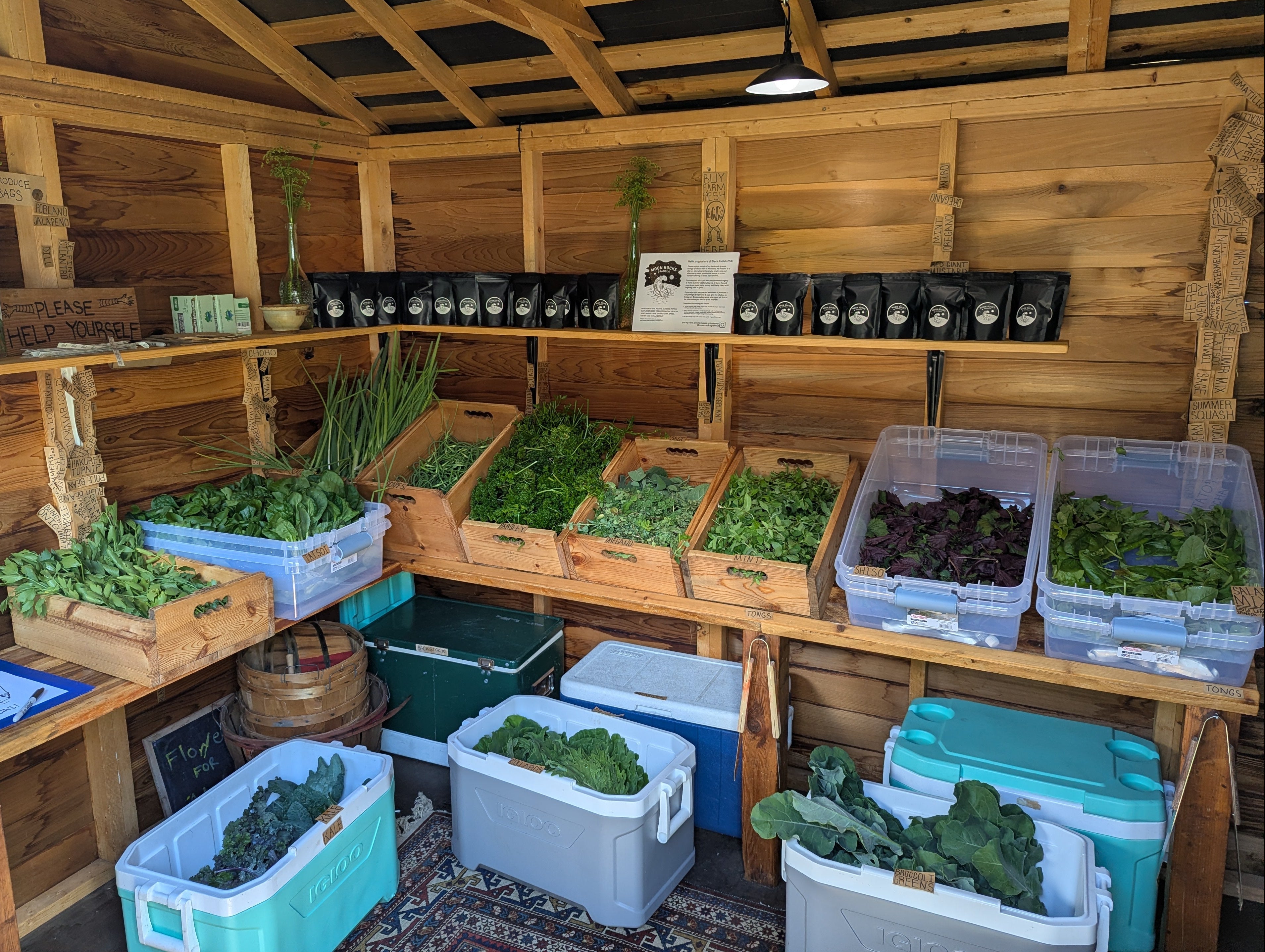 A photo of the the fresh, hyperlocal produce grown by The Black Radish Urban Farm in Minneapolis.