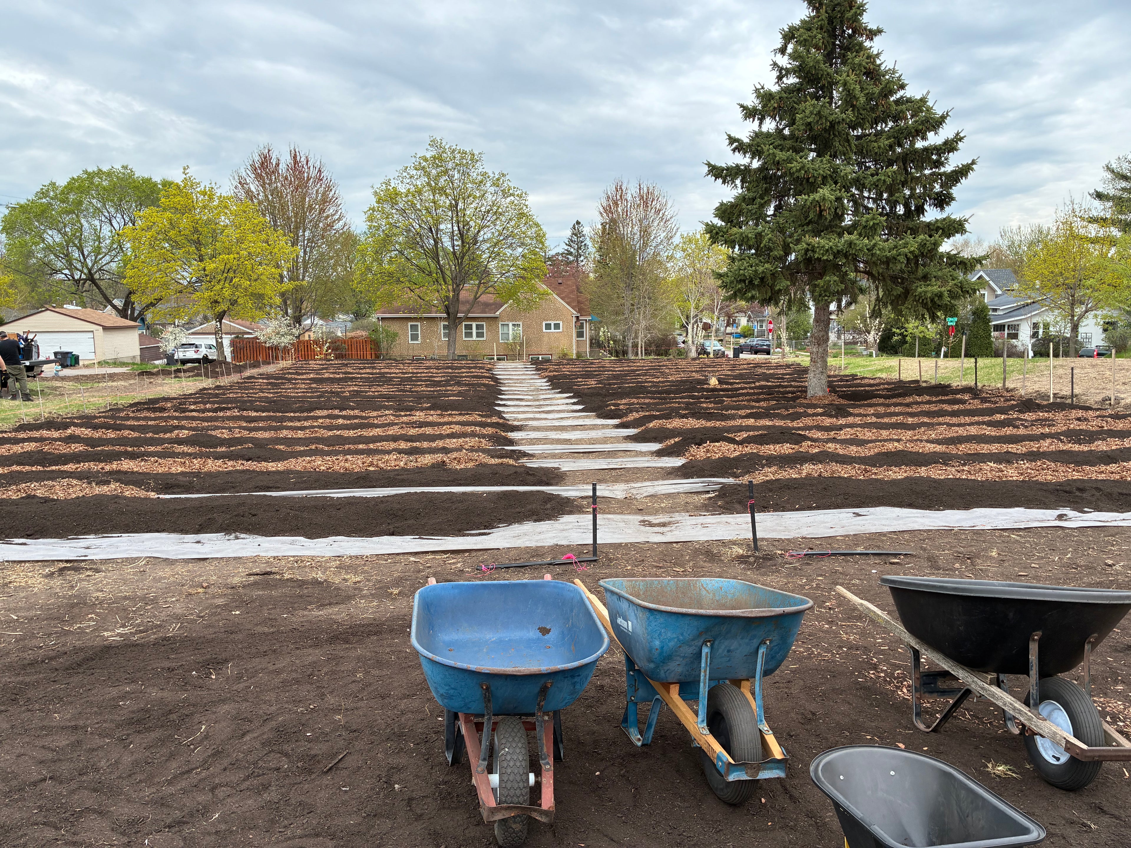 The Black Radish urban farm plot right after the garden beds were installed.