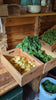 A video panning across the fresh, hyperlocal produce grown by The Black Radish Urban Farm in Minneapolis.